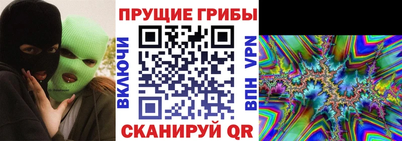 Галлюциногенные грибы Magic Shrooms  Кашин 